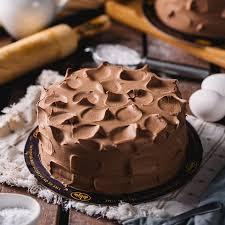 Chocolate Belgian Cake