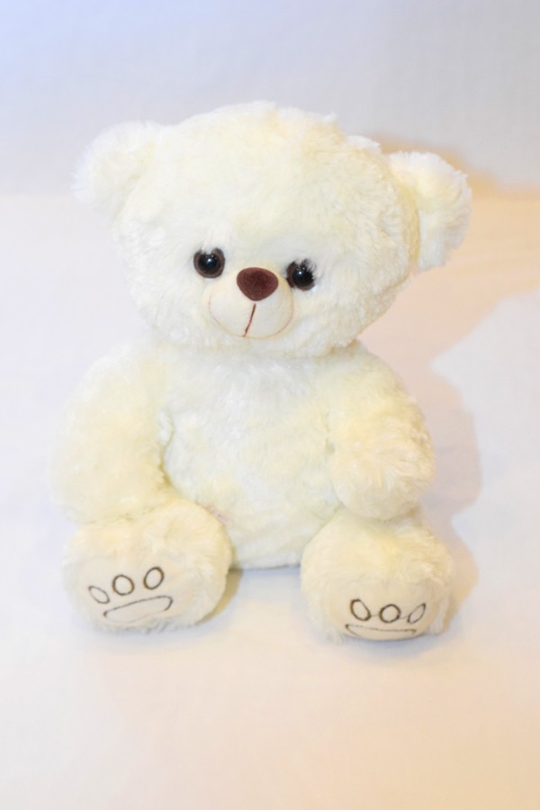 White Teddy Bear 10 inches