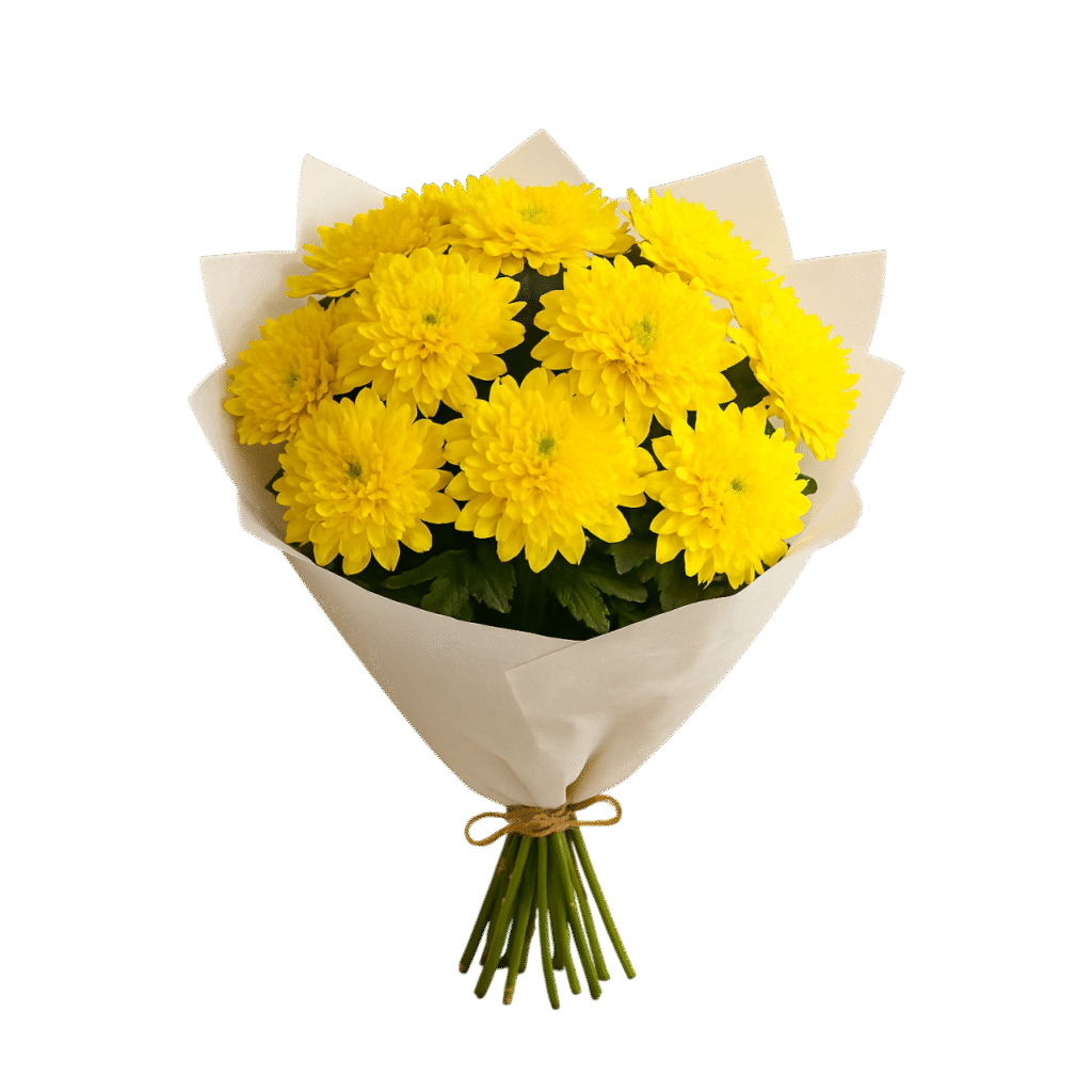 Get Well Soon Flowers Send All Round the Worlds